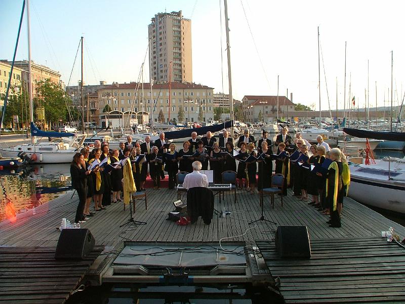 Lions Singers